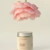 peony_blush_szójagyertya_2 Peony Blush szójagyertya