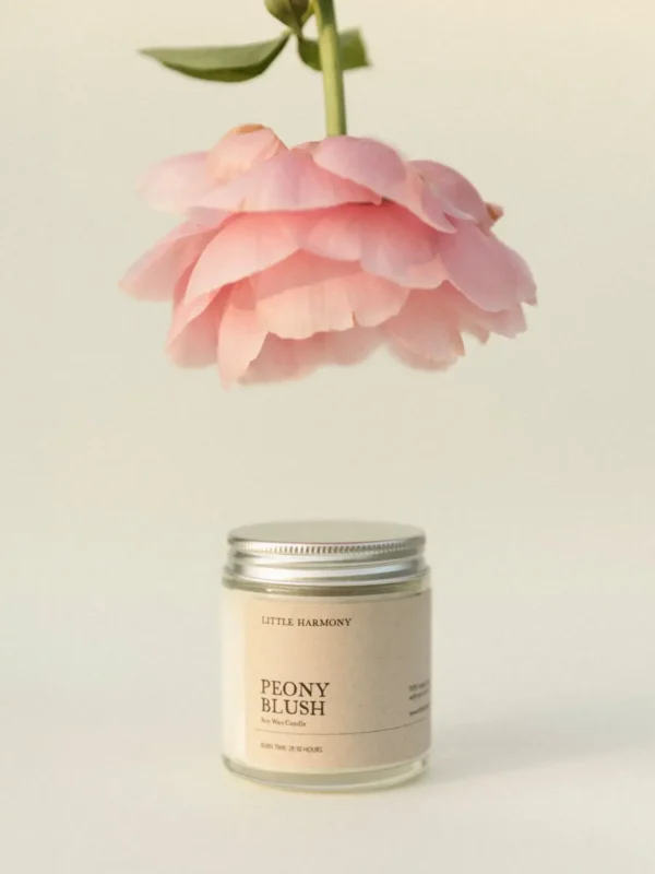 peony_blush_szójagyertya_2 Peony Blush szójagyertya